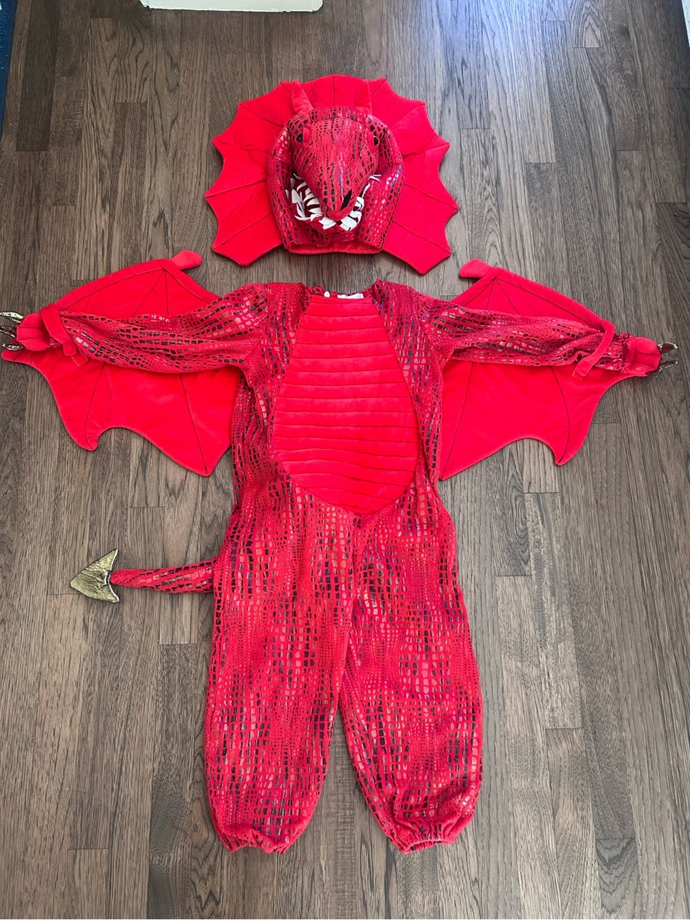 Pottery Barn Kids Red Dragon Costume